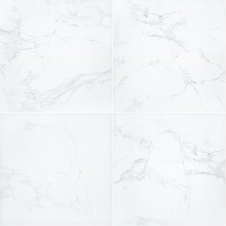 Msi Praia Carrara 24 " X 24 " Matte Porcelain Paver Tile, PK2 ZOR-LSC-0205
